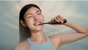 Guided brushing sessions