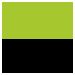 Carbon lime & black