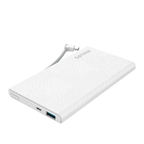 DLP1130C/93  USB-powerbank