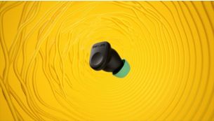 Get in the zone with Adaptive Noise Canceling