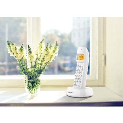 Mantené la sencillez