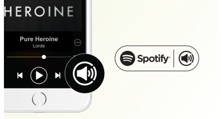 Application native Spotify Connect pour une expérience facilitée