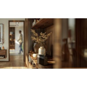 The classic companion