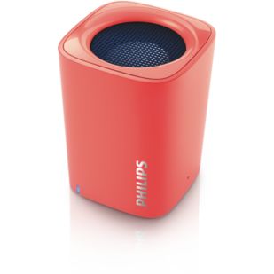 BT100M wireless portable speaker