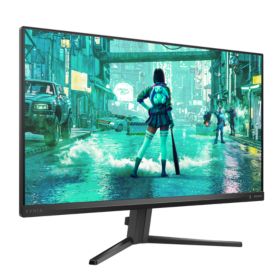Fast IPS Gaming monitor