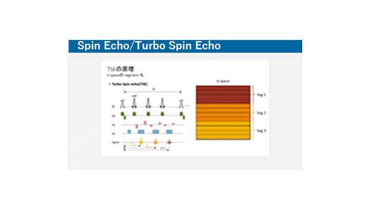Spin echo
