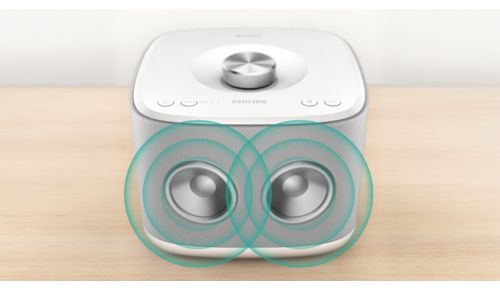 2 x 2,5 inch drivers met baspoort voor kamervullend geluid