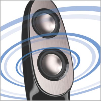 Crisp and clear vocals