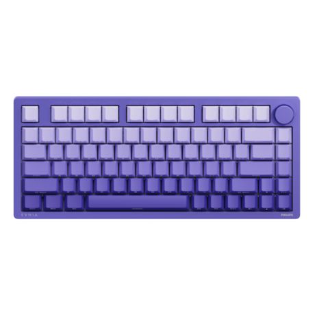 SPK8618UPRH/93 Evnia 6000 Series Evnia 6000 系列游戏键盘