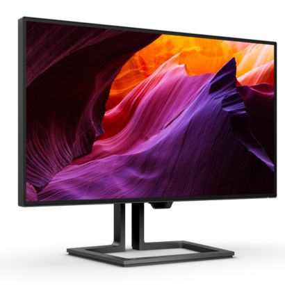 Philips Professional Monitor