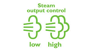 Steam output control