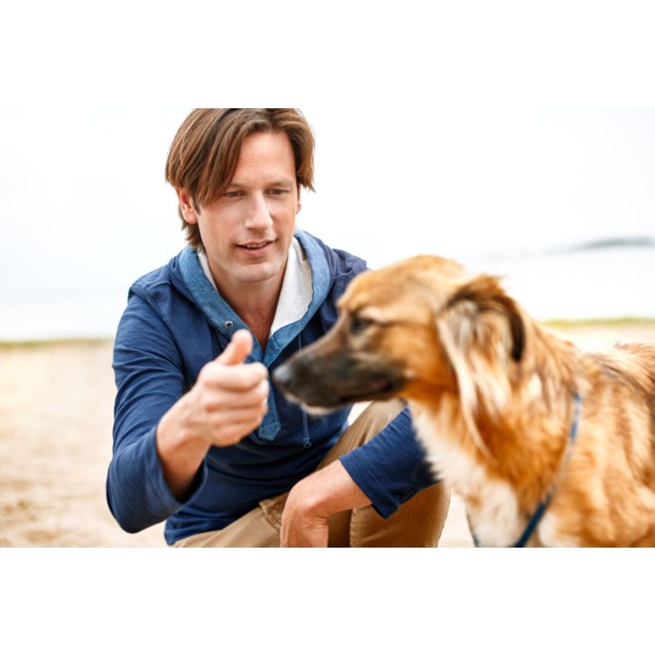 Convenient, Easy shave