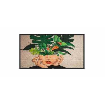 Signage Solutions 43BDL4510D D-Line Display