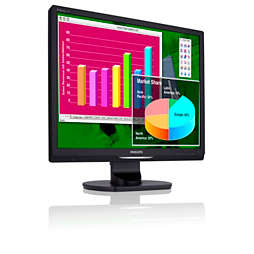 Brilliance LCD monitor with Audio