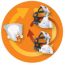 Respironics AF541  Noninvasive ventilation (NIV) mask
