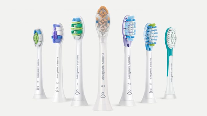 Lineup of brush heads