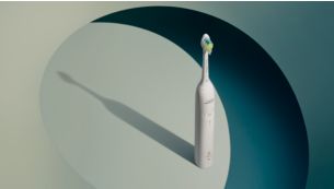 Guided brushing sessions