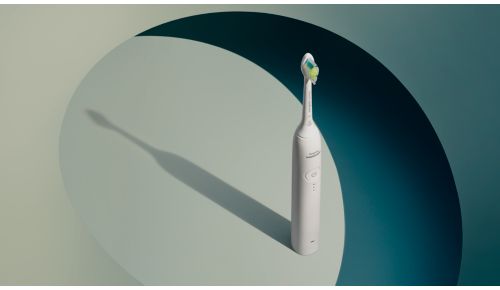 Vägledda borstningssessioner