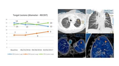 Radiology reporting process in medical imaging