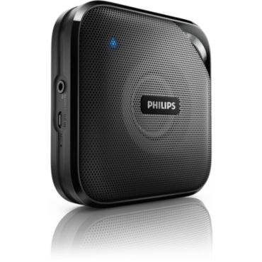 BT2500B wireless portable speaker