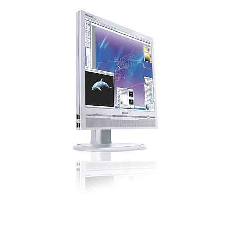 170P6EG/00  Brilliance 170P6EG LCD monitor