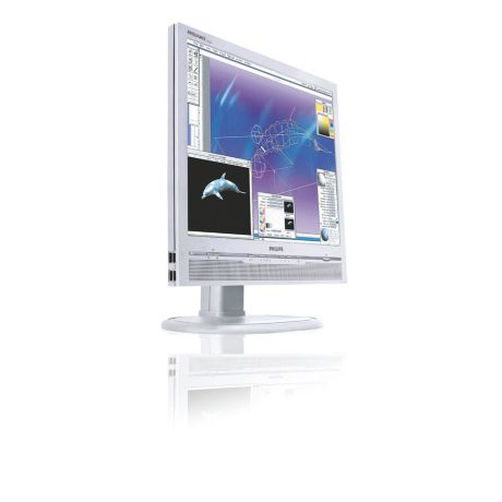 170P6EG/93  Brilliance 170P6EG LCD monitor