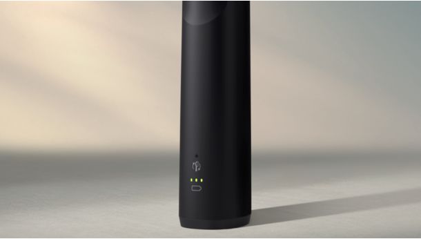 Kuni 21 päeva harjamist ühe laadimisega