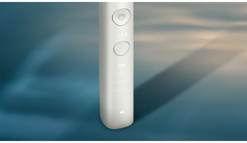 Wählen Sie Ihr ideales Putzerlebnis