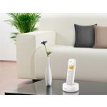 Tegul viskas būna paprasta