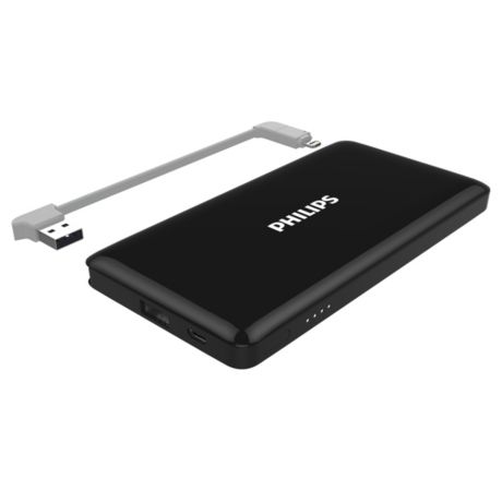 DLP6101I/93  USB 移动电源