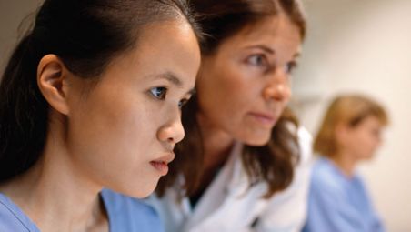 Development environment interface