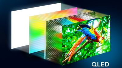 4K QLED for vibrant viewing and quantum dot colour quality.
