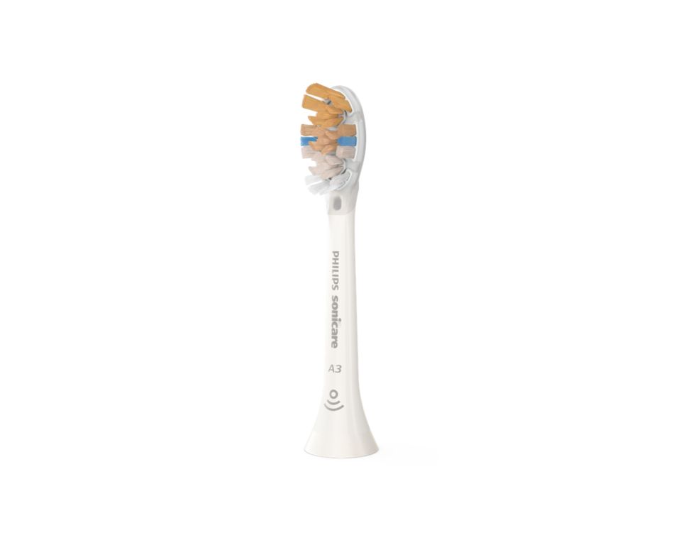 Standard sonic toothbrush heads