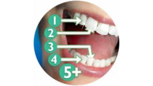 يشجّع مؤقت Quadpacer الذي يحدد فاصلاً زمنياً من 30 ثانية على تنظيف الأسنان المتوازن