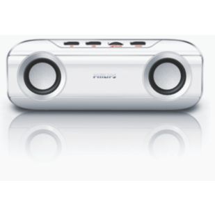 Portable Speaker System