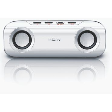 Portable Speaker System