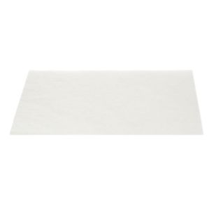 PowerLife Motor protection filter