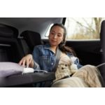 The complete single pump