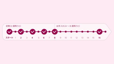 自宅で手軽にお手入れできる