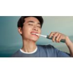 Essential Care for healthy teeth and gums