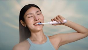 Guided brushing sessions