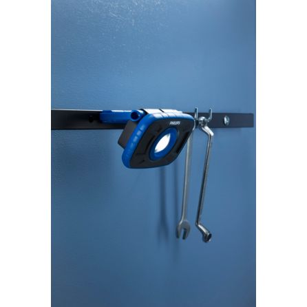 Philips Professional