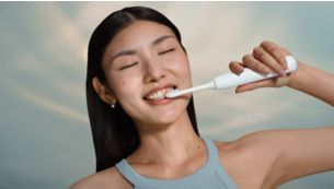 Guided brushing sessions