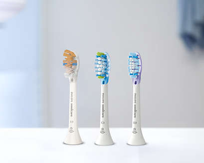 Three Philips Sonicare brush heads standing on a counter.