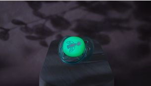 Svítí ve tmě dlouho po zhasnutí světel