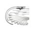 EPIQ 5 ultrasound system transducer family thumbnail