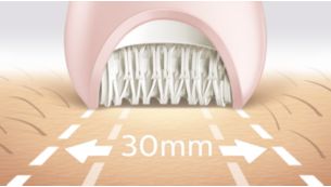 Extra-wide epilator head