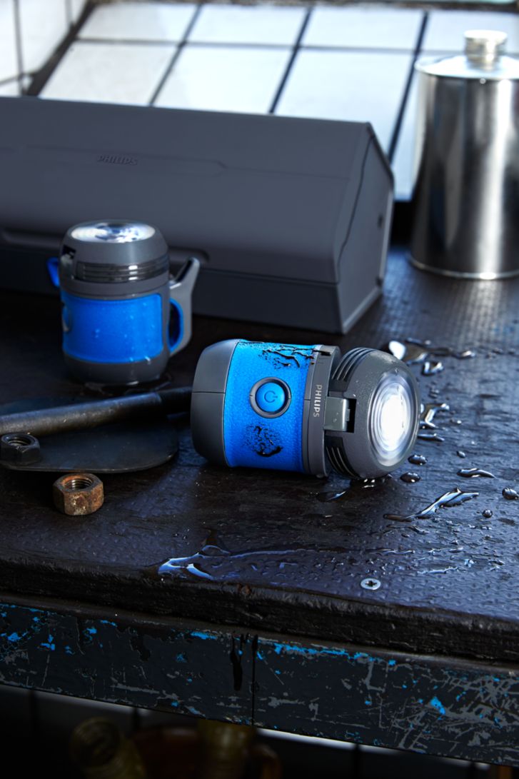 Philips Professional