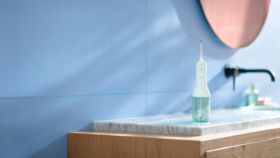 Power Flosser 3000