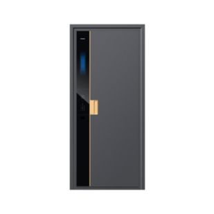 6000 series 智能门